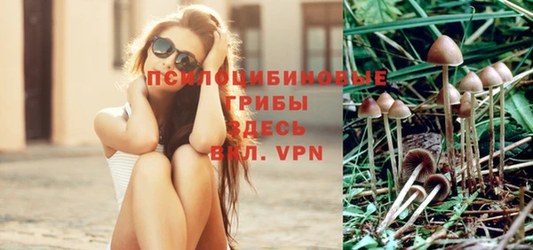 круглые Аркадак