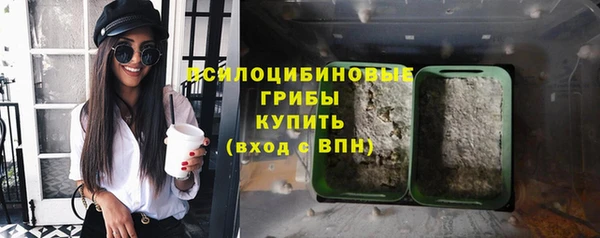 каннабис Арсеньев