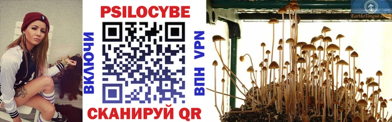 наркотики Энем Псилоцибиновые грибы Psilocybine cubensis
